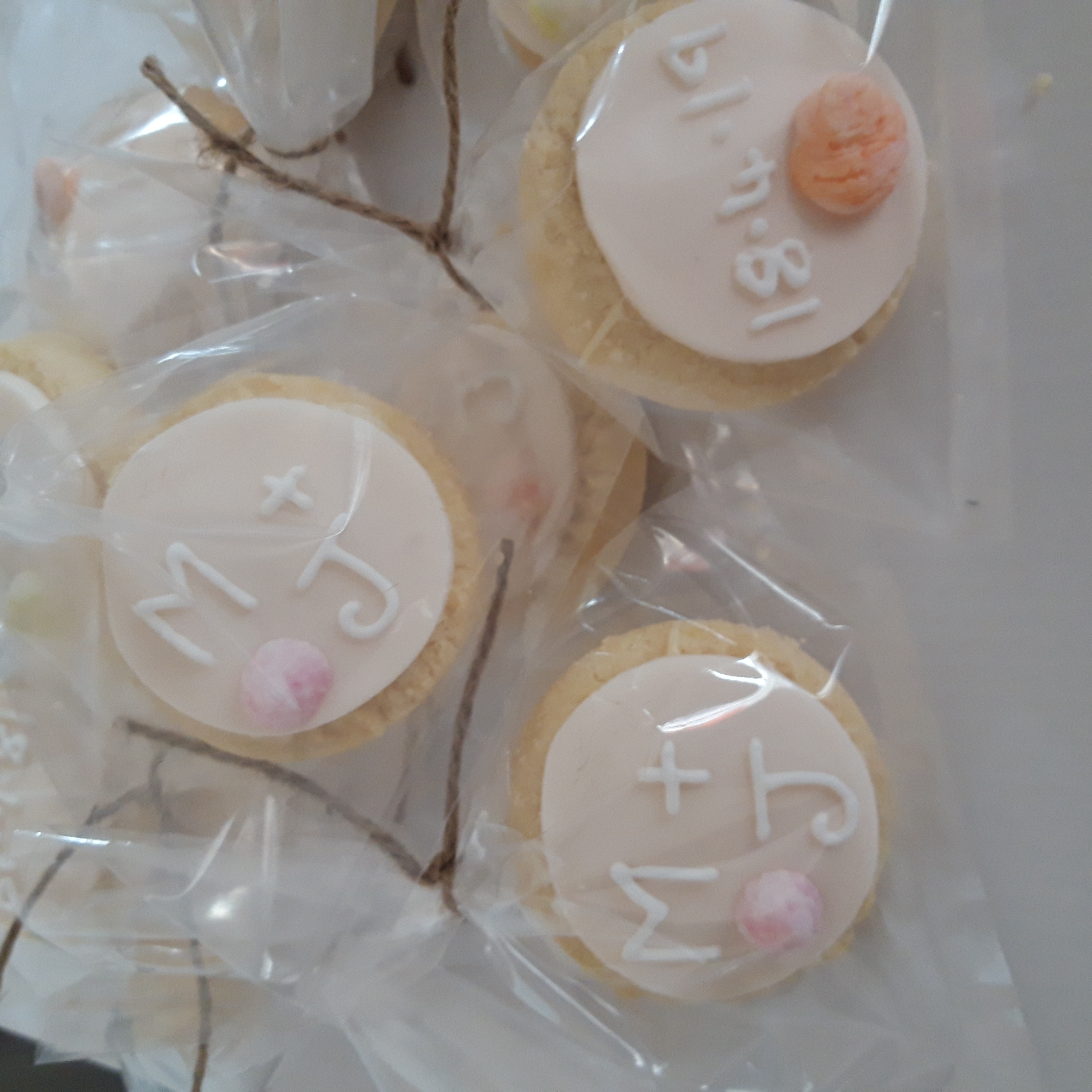 Iced biscuit detail